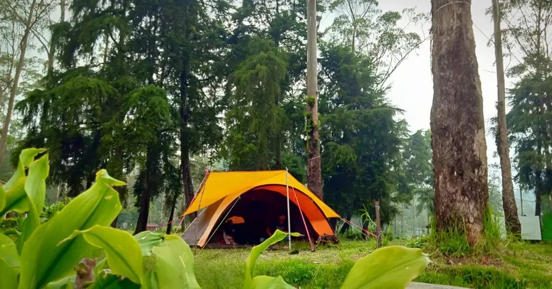 Tenda kapasitas 4 orang di area camping